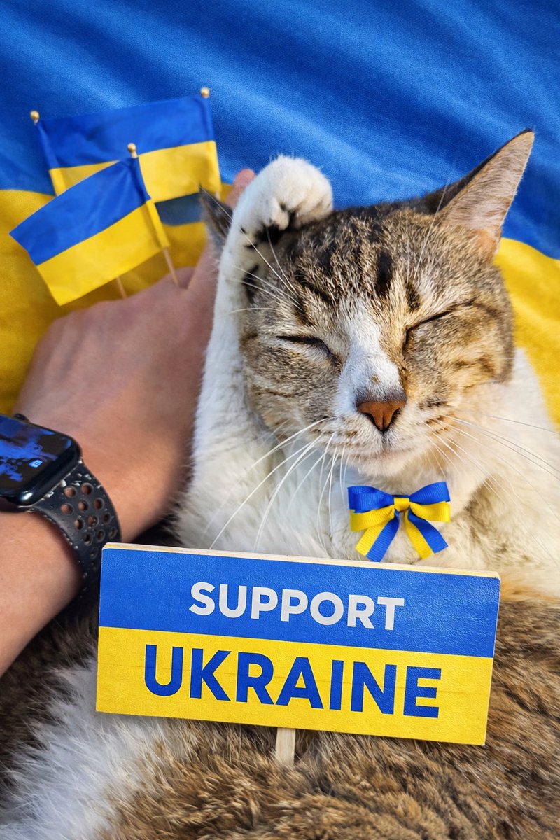 sasya286🦖🌱🙏🇺🇦🙏 tweet media