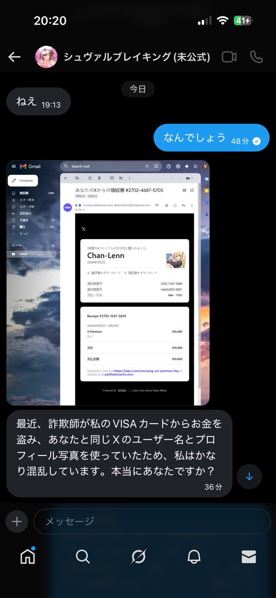 ⚠️注意喚起⚠️ 本日『貴方は私のVISAカードからお金を盗みましたか