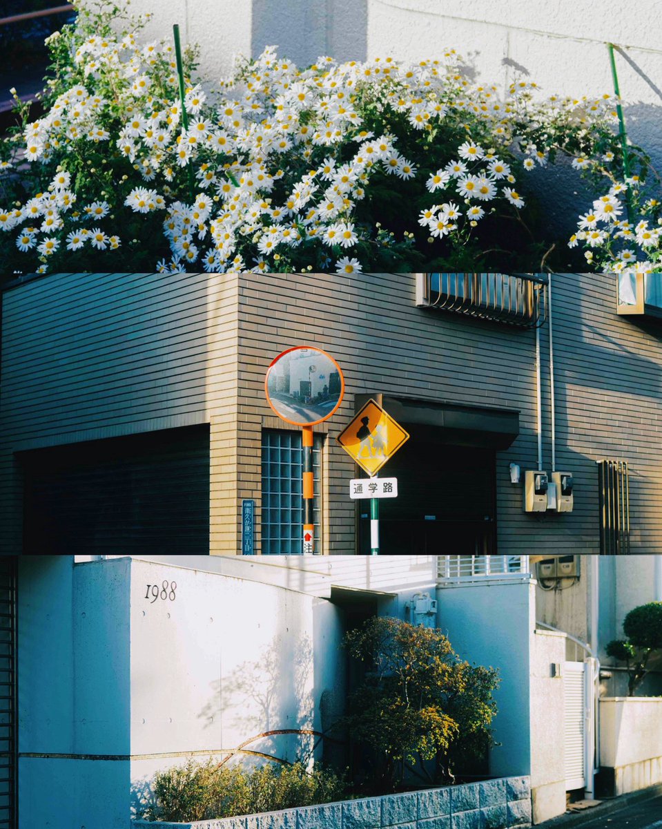 hinamin012's tweet image. 