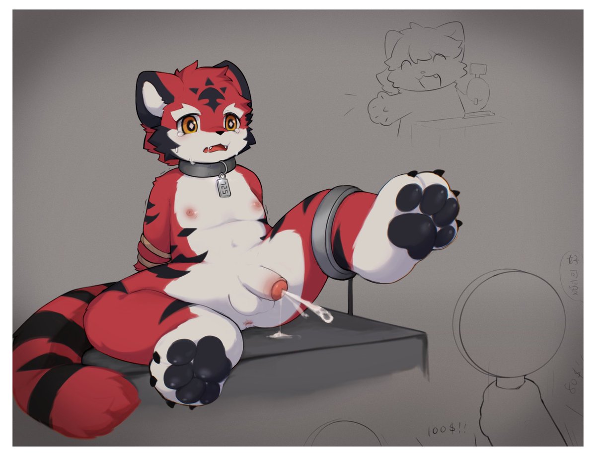 小菊发w tweet media