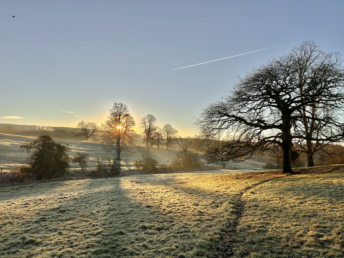 WeatherWolds's tweet image. Just After Dawn. -1°C. A lone crow. 🐦‍⬛