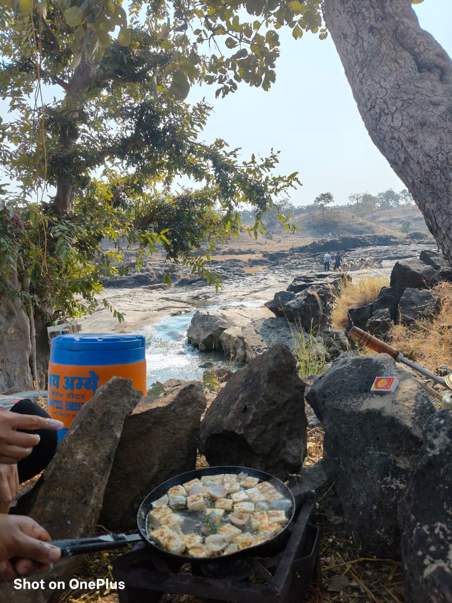 D. K. Roy Group tweet media