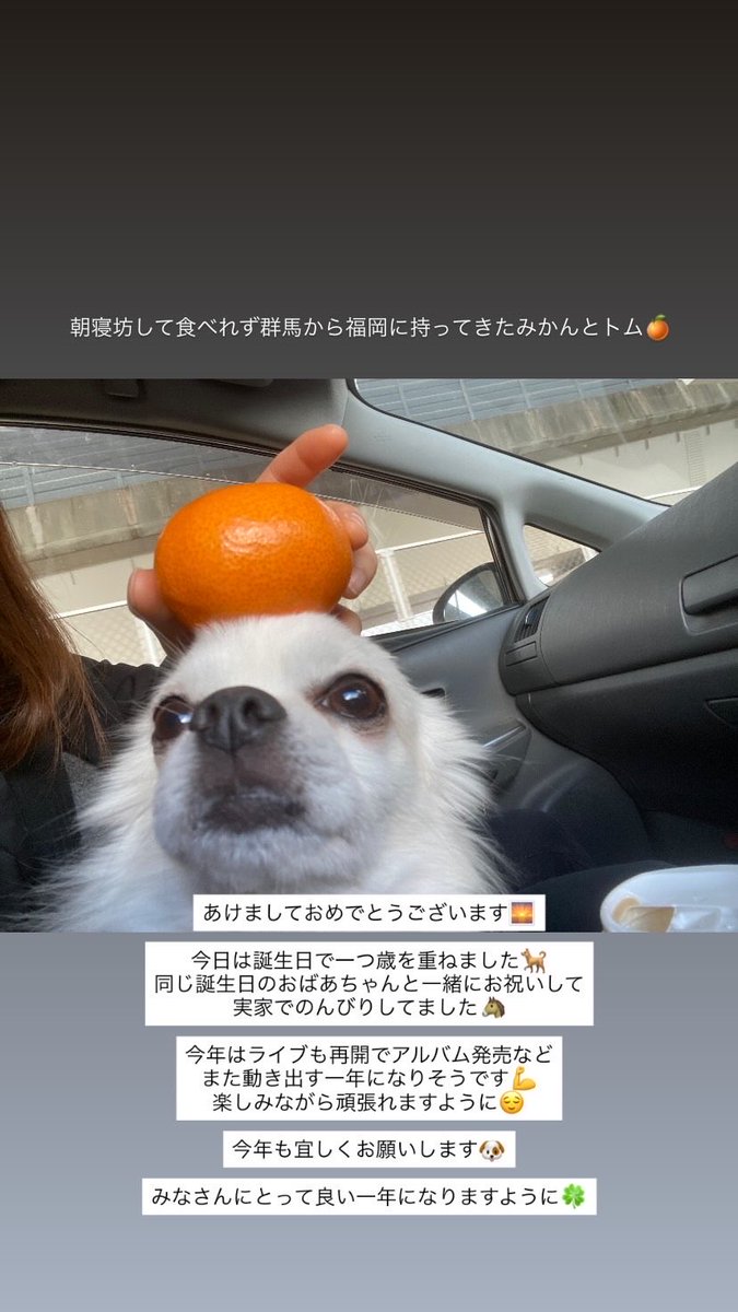 あけましておめでとうございます🌅
今年も宜しくお願いします🐕