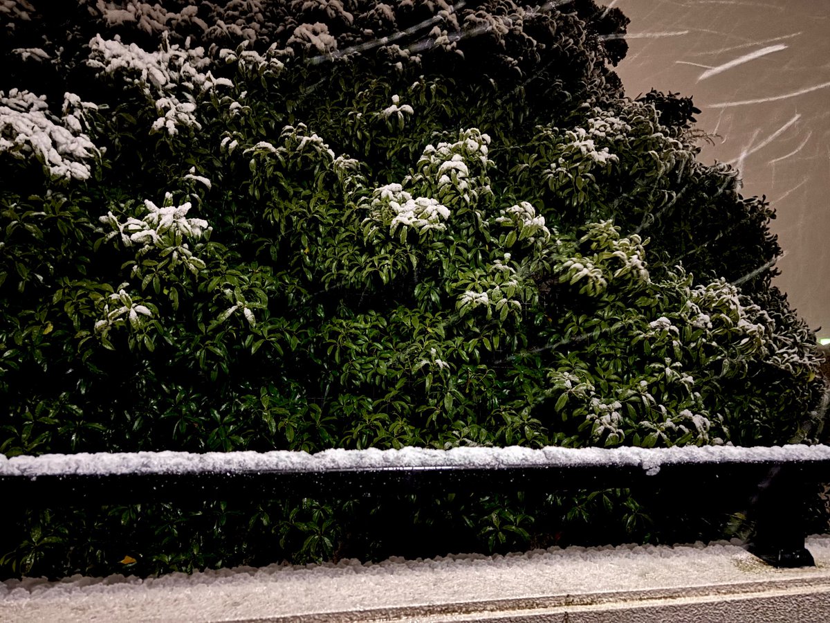 ？！！雪降ってる？！
スノータイヤじゃないから、明日まで雪残っていたらクロネコ営業所までいけないんだがががっ
物流も心配ね…