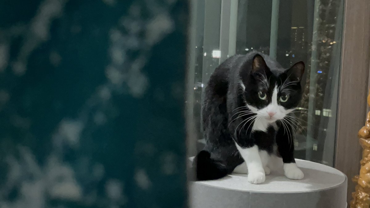 aengkrrrrr's tweet image. 맞짱신청하러왔구나