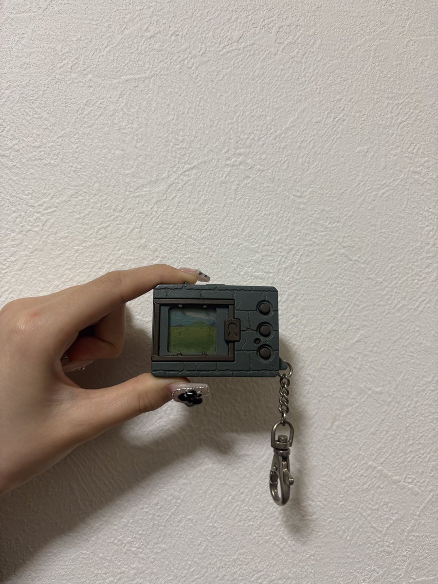 ポケットピカチュウ探してたらデジモン3つ見つけた