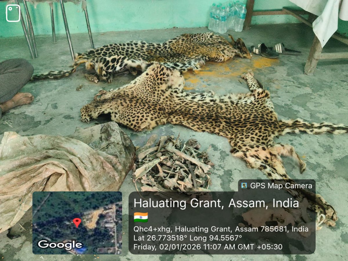 Assam Forest Rangers' Association tweet media