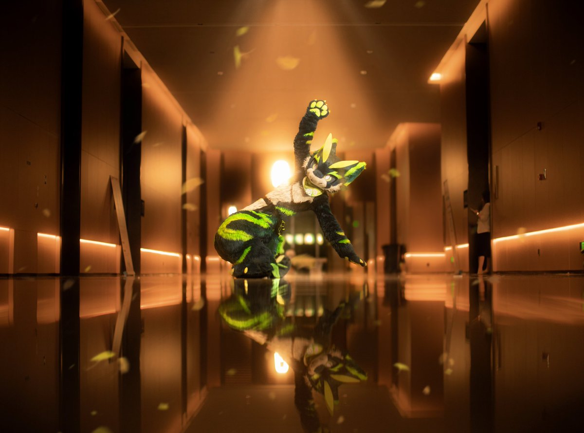 NotValidSky/叶灵/イエリン/🍃 tweet media