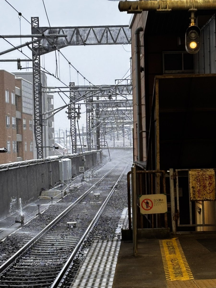 こんだけ水撒いてると凍らせねぇってJRの強い意志を感じる