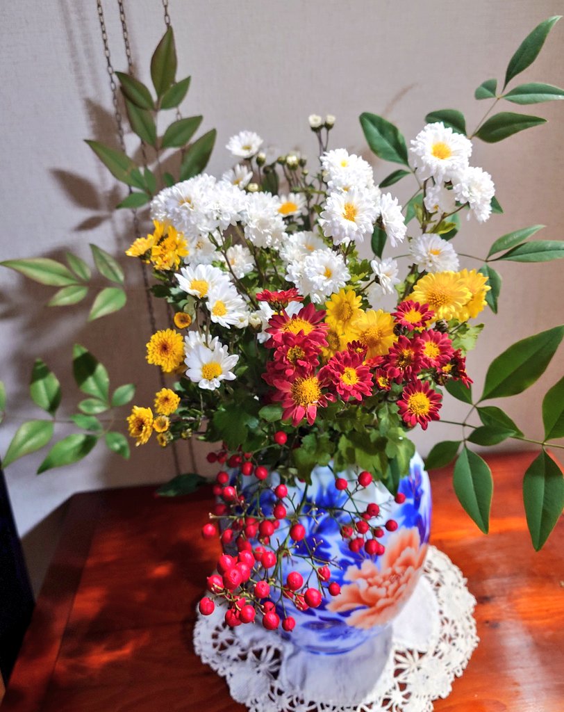 明けましておめでとうございます🎉
娘一家が来て賑やかなお正月です✨
はな🐶も元気です。庭の寒菊を生けました☺今年が良い年になりますように❤
#ポメラニアン
#シニア犬
#寒菊