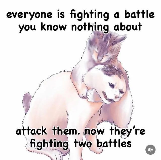 Cat TikToks (@cattiktoks) on Twitter photo 