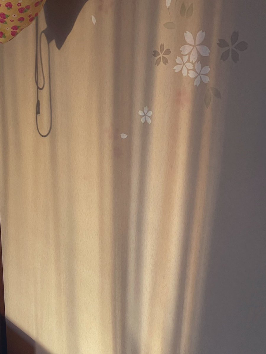 BebeSwallowtail's tweet image. 2026年元旦は
障子に朝陽がほんのりうつりこみ、
鳥たちも均一に並んでほっこりと。
母と恒例の「あほや」の
たこ焼きを食べて、

こんな感じでスタートです。☺️
自力なる気合いは満タン。

今年も始まるのですねぇ。