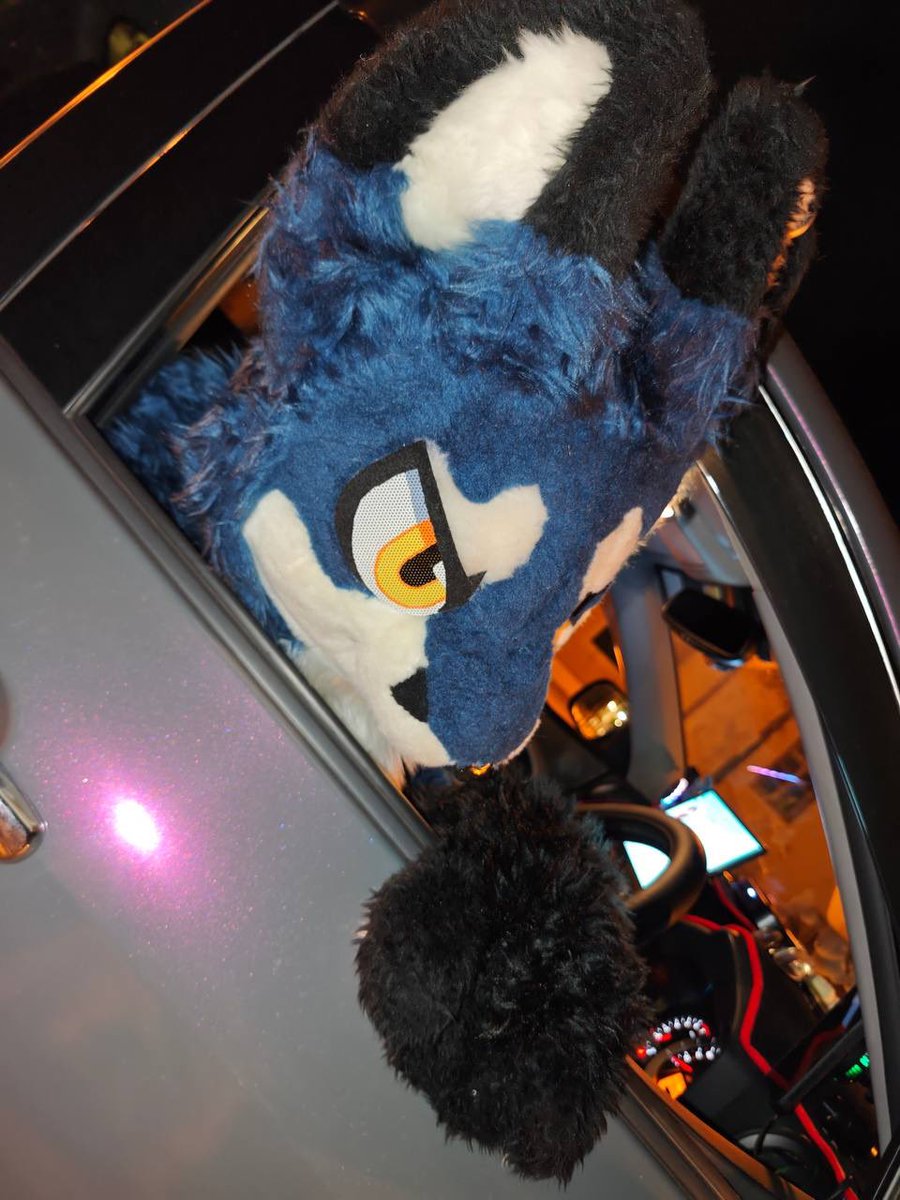 #FursuitsFriday 

2026一緒にどこかいかない？

來上車！  我們出去玩✨✨✨