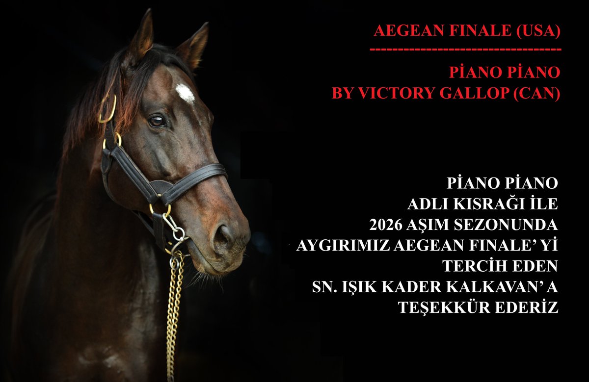 PİANO PİANO ADLI KISRAĞI İLE
2026 AŞIM SEZONUNDA
AYGIRIMIZ AEGEAN FINALE’ Yİ
TERCİH EDEN SN. IŞIK KADER KALKAVAN’ A
TEŞEKKÜR EDERİZ 
<a href="/mk_hara_/">MK Hara</a> <a href="/AegeanFinale/">Aegean Finale</a>