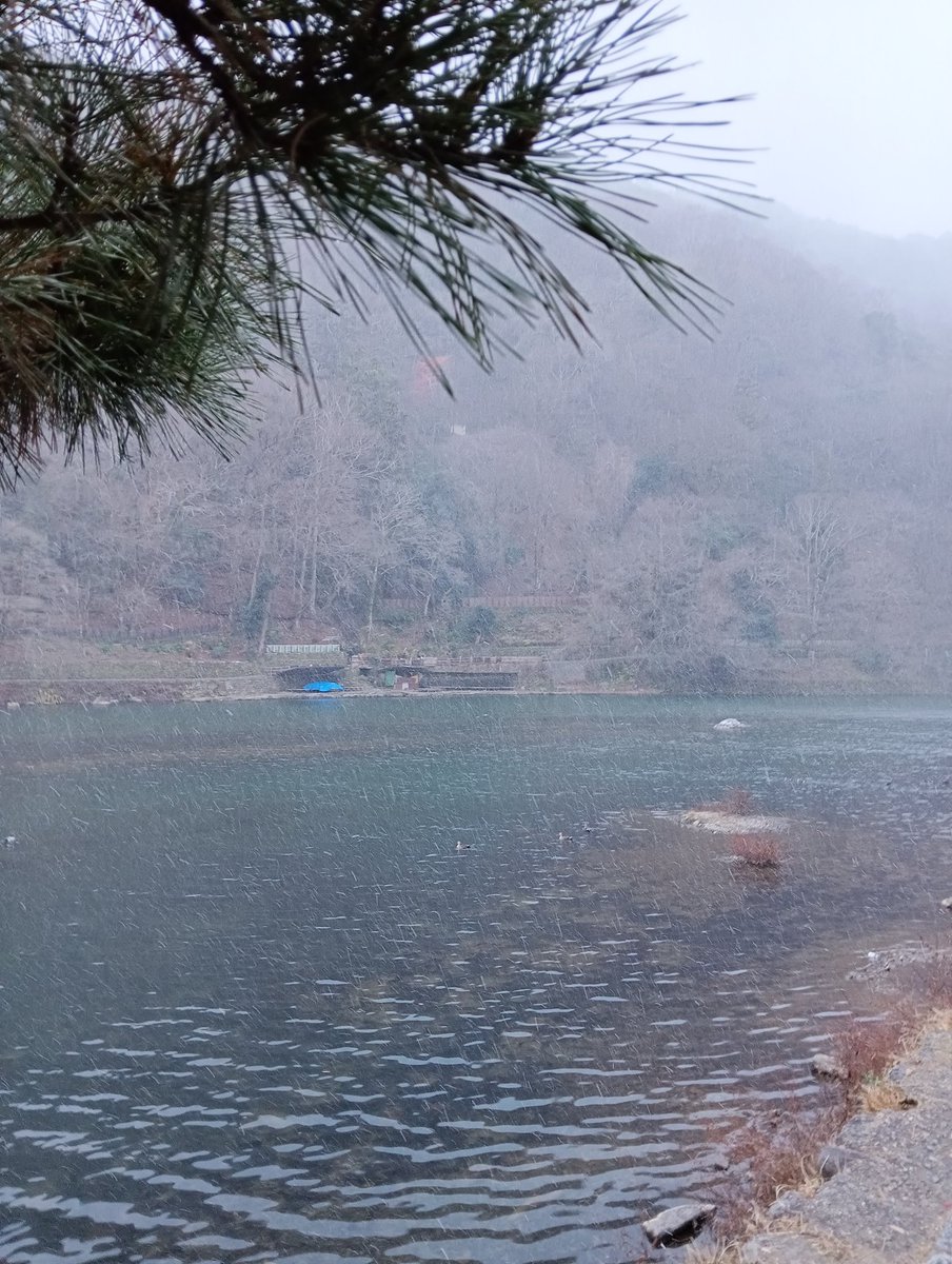 ゼロカロリー【マイクラ】 tweet media