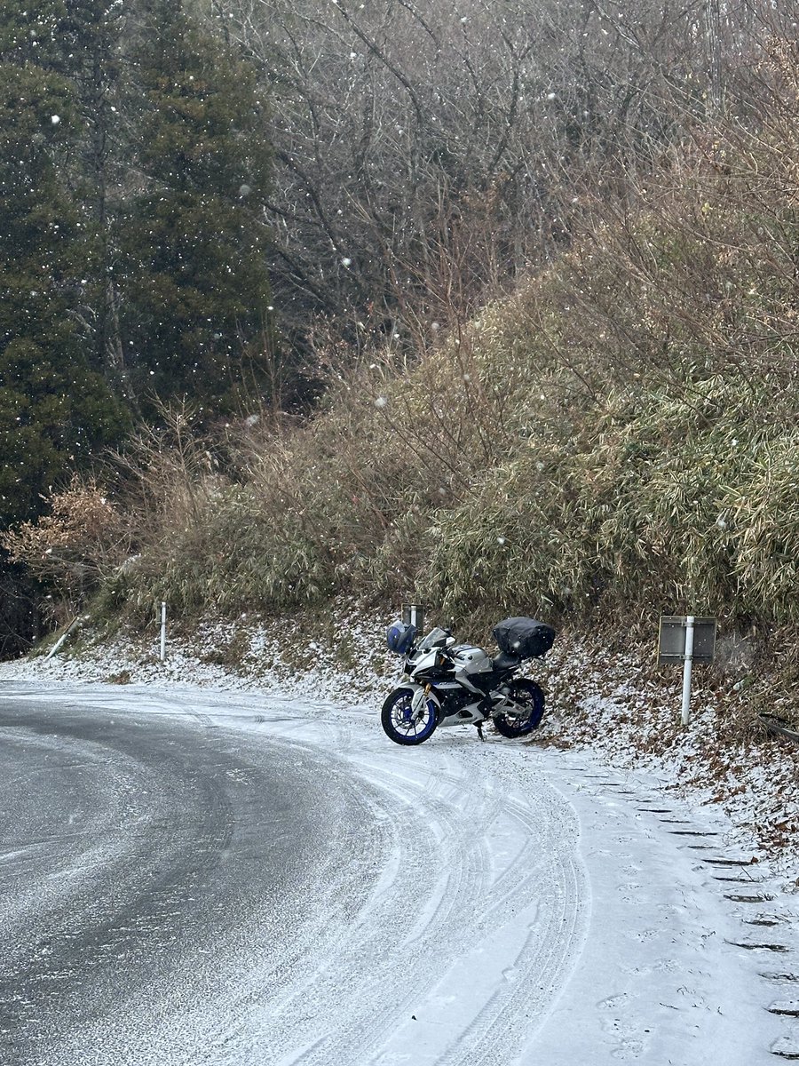 初雪で初転け
