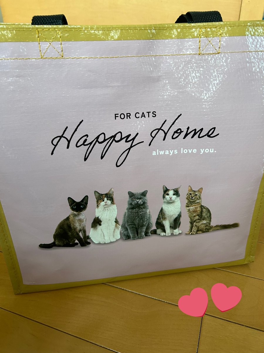みかにゃんこ にゃんこの為に福袋買った(*´∇｀*)🐾💕 カバンも使えるしかわいい🩷