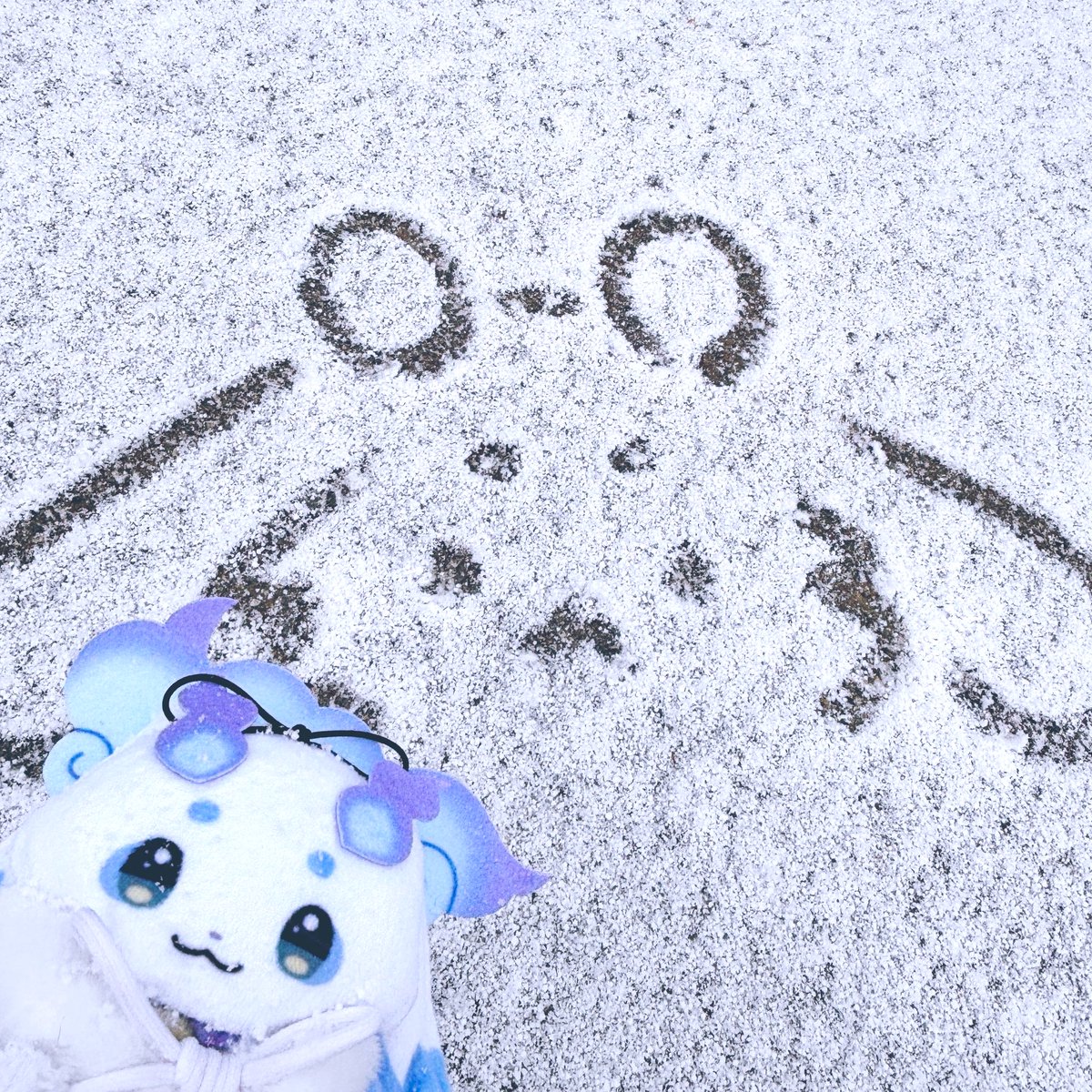 ちょまと撮ったよ ❄️