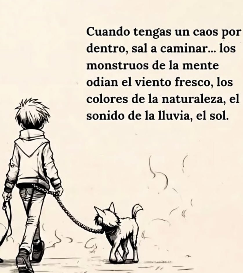 avanzandoacasa's tweet image. 