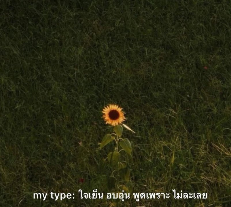 𝐹𝑒𝑛𝑖𝑖𝑥𝑥🌻 tweet media