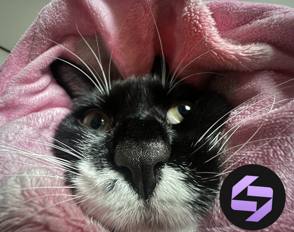 USDT손손직거래[구글도배,구글찌라시 텔 𝑮𝑺𝑬𝑶8]텔레그램OTC.bxa