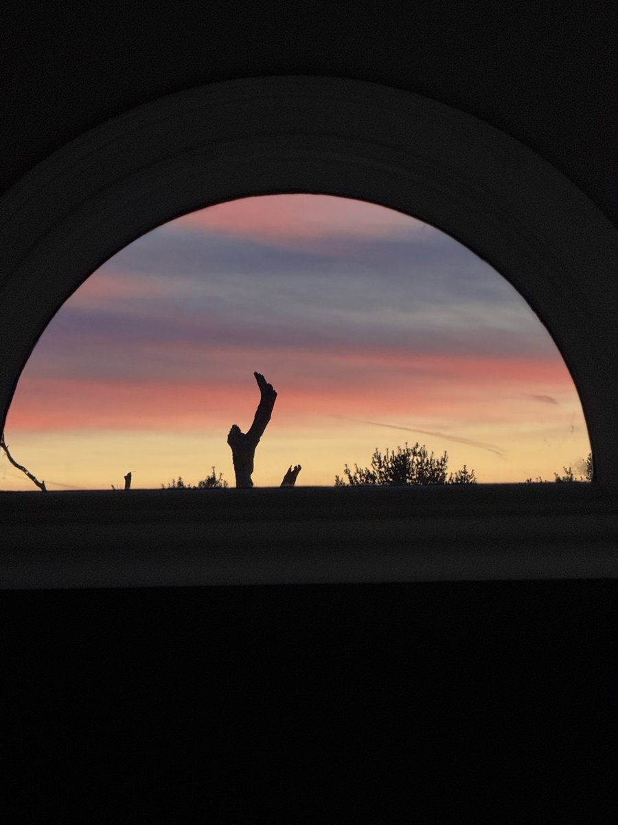 brii_levy02's tweet photo. This photo uses framing as the main composition rule. I shot through the curved opening to naturally frame the sunset and tree, which draws the viewer’s eye directly to the subject. #su2412 #sunsets https://t.co/rVJVglnlxa