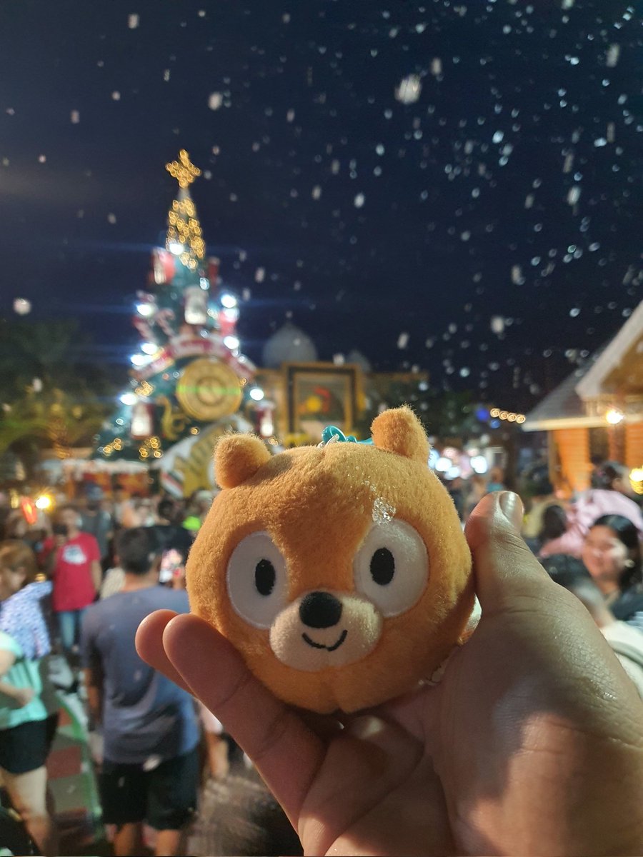 Daily Woff Migration ~○ tweet media