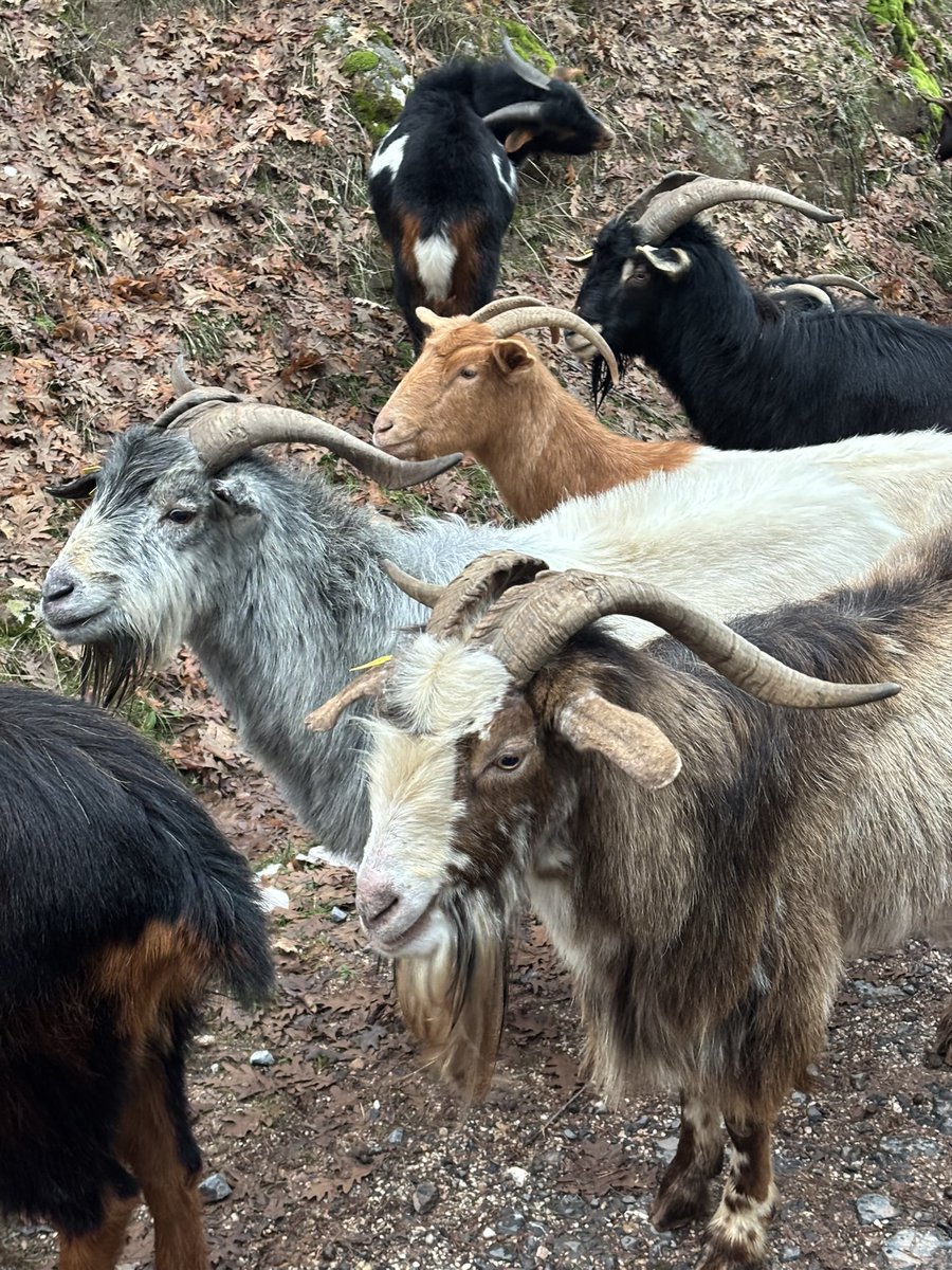 Buenos días a todos.