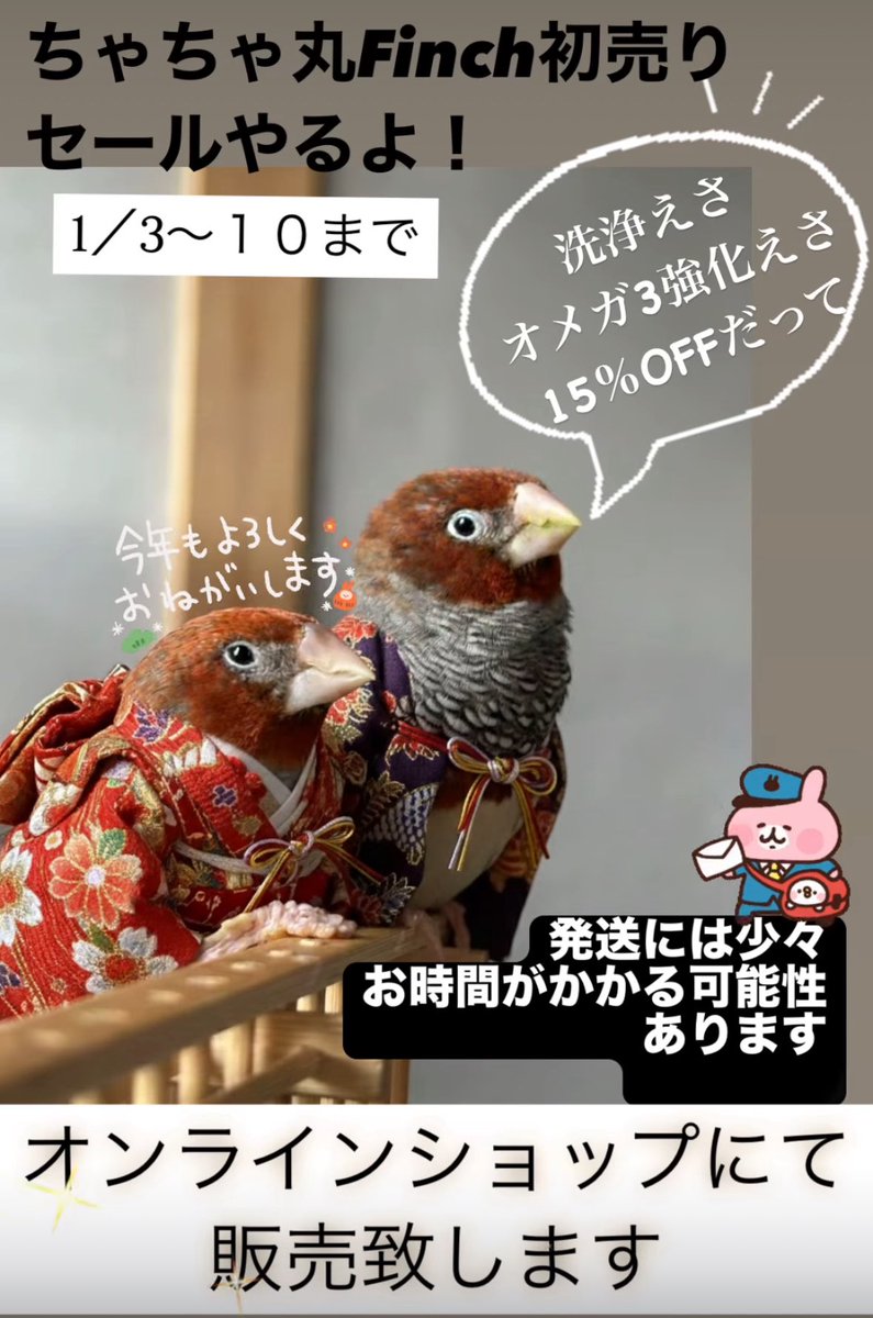 明日！1/3から10日まで
新春特別セール開催‼️
オンラインショップからお申し込みください🙇‍♀️
🏬↓
chachamarufinch.square.site

#洗浄えさ