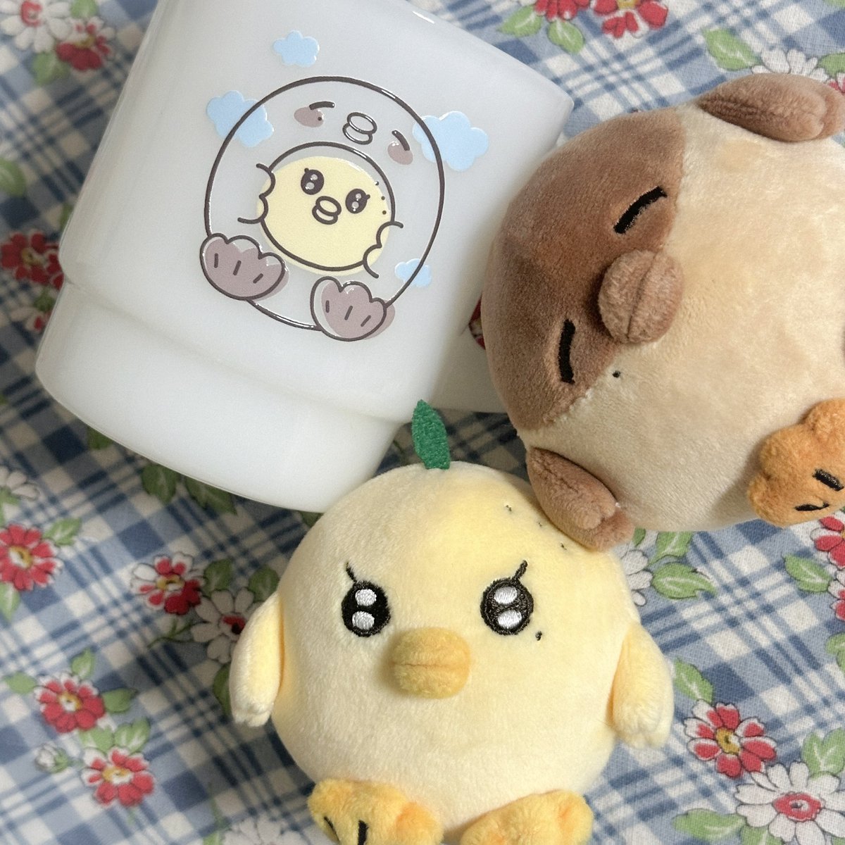 머그홈 tweet media