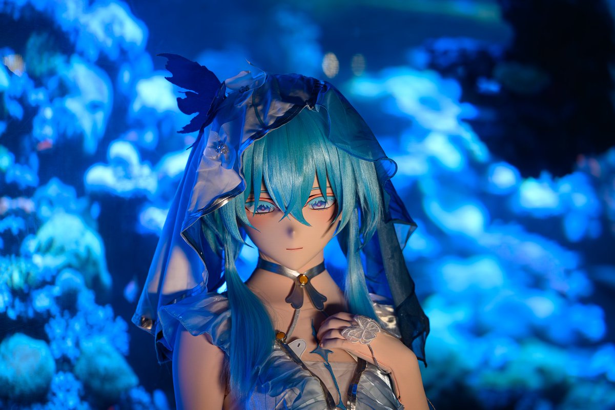 子月 tweet media