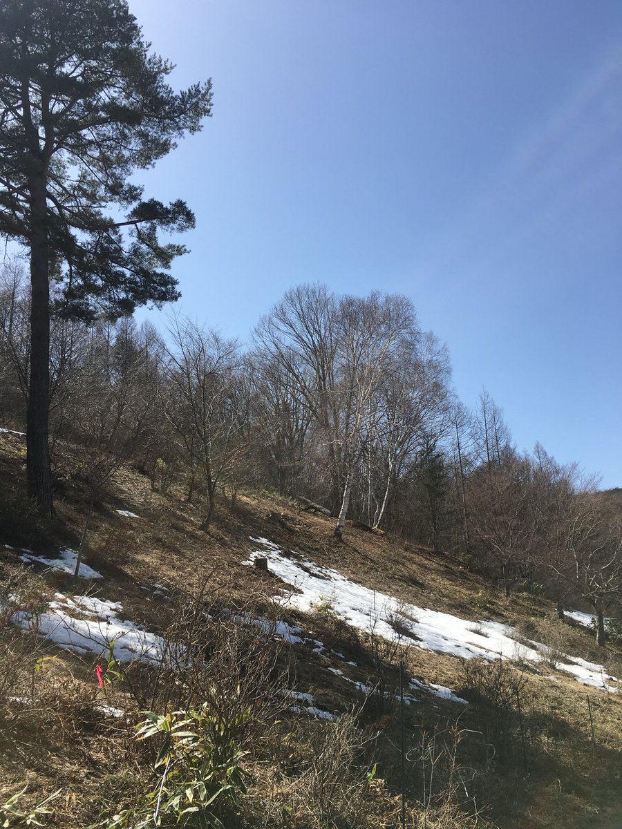 SKOjDWZQIrN9Cig's tweet photo. すっかり寒くなってきました。これから雪も降ってきますよ❄️
 #毎月2日は二輪の日 https://t.co/87qRG0MZsw