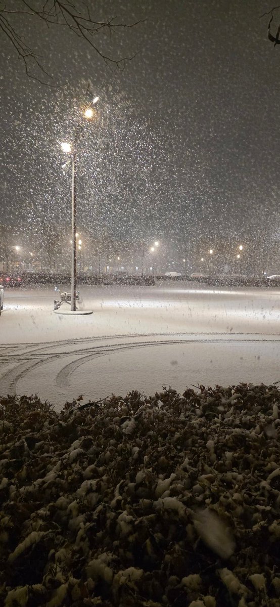 Jeroen van der Wal tweet media