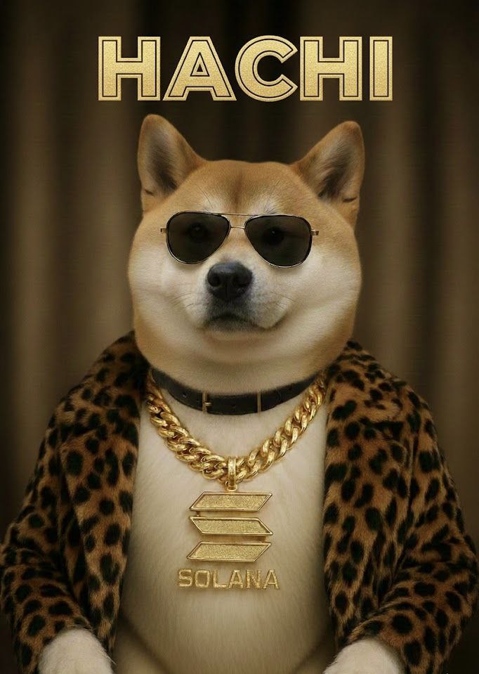 <a href="/WhaleEverything/">WHALE 🐳 EVERYTHING</a> Time to buy more <a href="/HachikoS0L/">Hachiko - $HACHI</a>