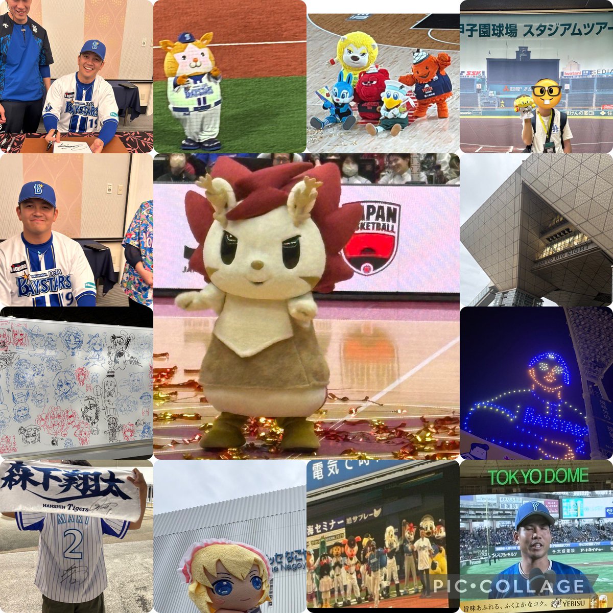 2026年になったのでフォロワーさんに自己紹介しようぜ 改めまして 03