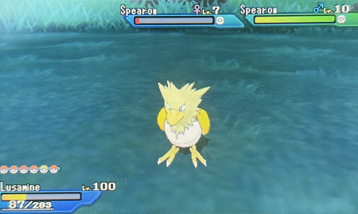 That1NikoShines's tweet photo. First shiny of 2026! Shiny Spearow shines in 828 SOS encounters!
#ShinyPokemon https://t.co/leufu2wIAR