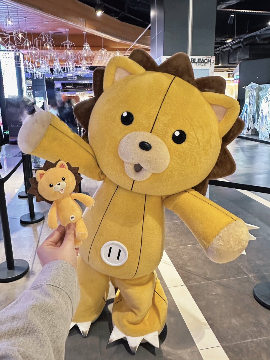 17kyomok's tweet image. ついについに…コンーーー！！！！