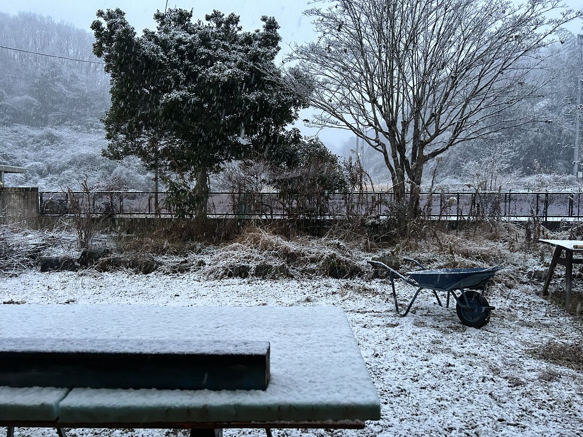 雪だーーーー！！