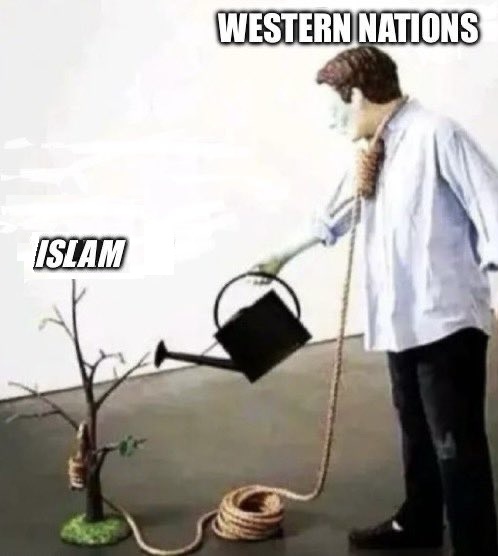 Sandfort tweet media