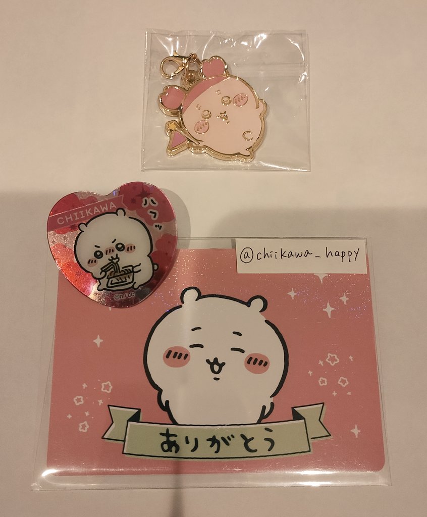 取引垢 4点商品 ば Puig 21767H Z-RACING SCREEN [SMOKE] Kawasaki ZX-4R