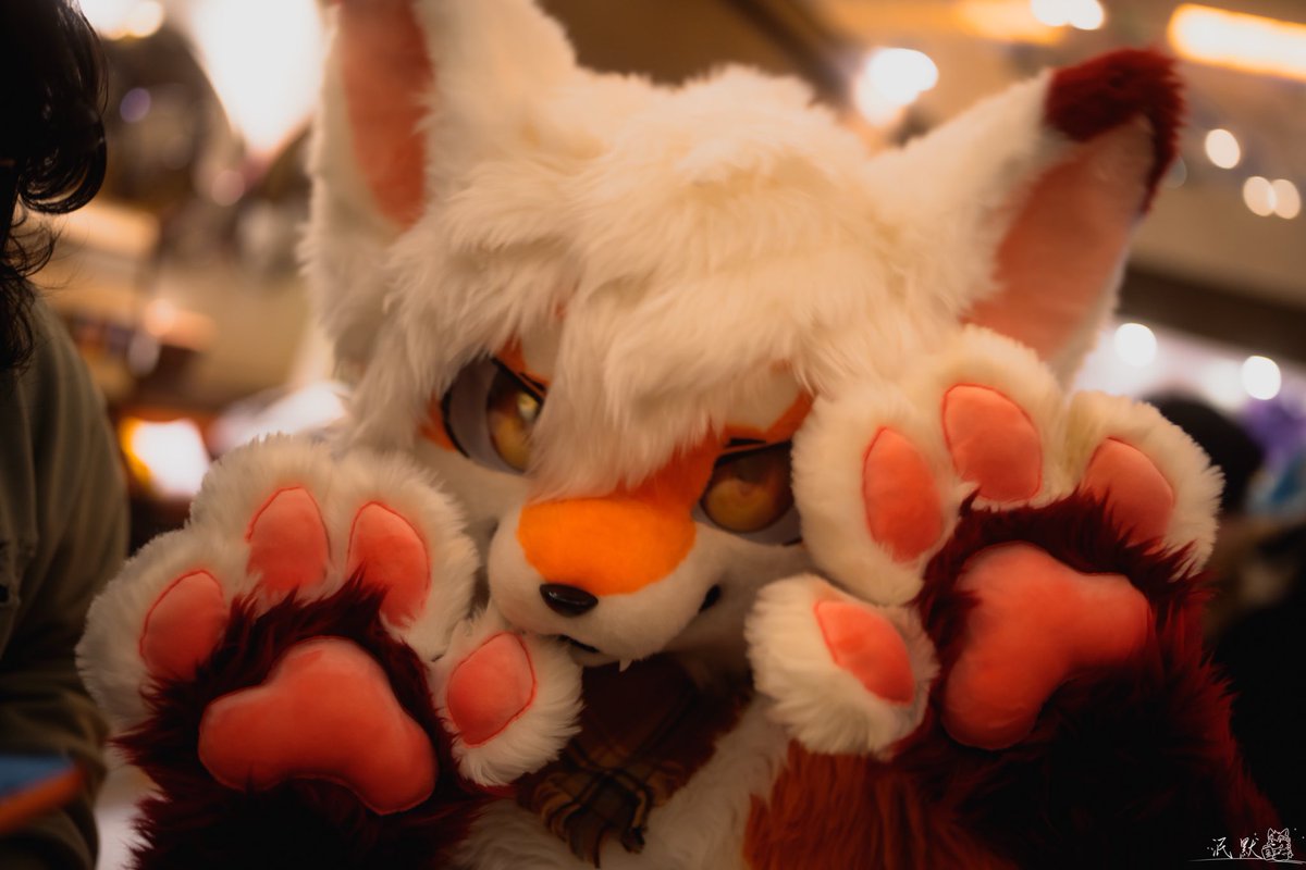 2026第一个毛五！🦊
元旦快乐 诸事顺遂
First fursuit Friday 2026! 🦊

📷：<a href="/hiroa_uwu/">泯默 | Hiroa 🥔 FURUM WFF</a> 🥔
#FursuitFriday