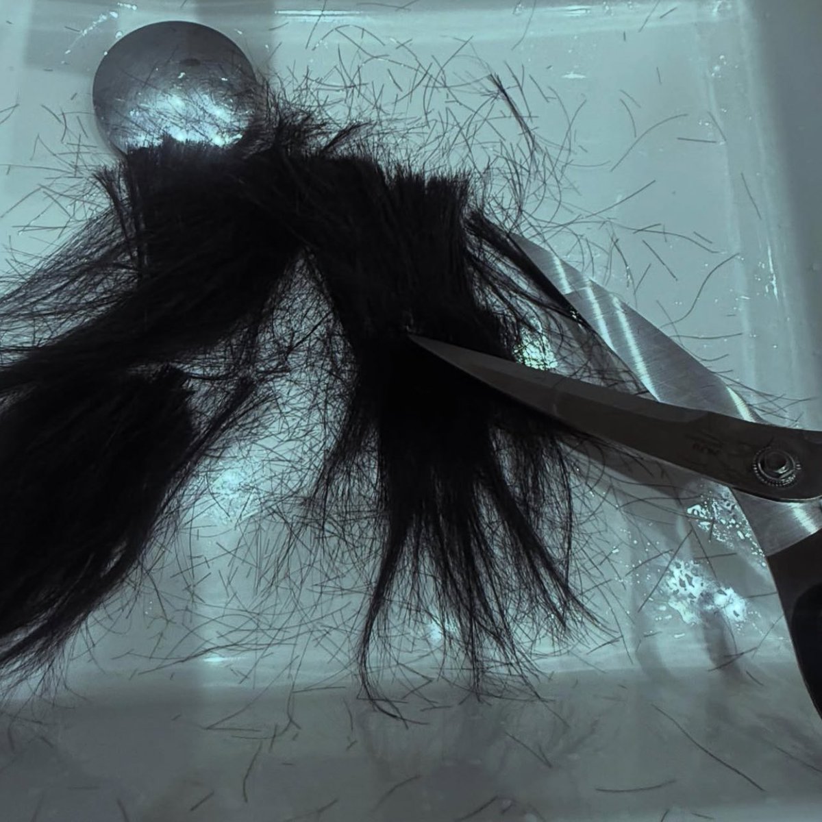 we’re starting the year strong with short hair ningning