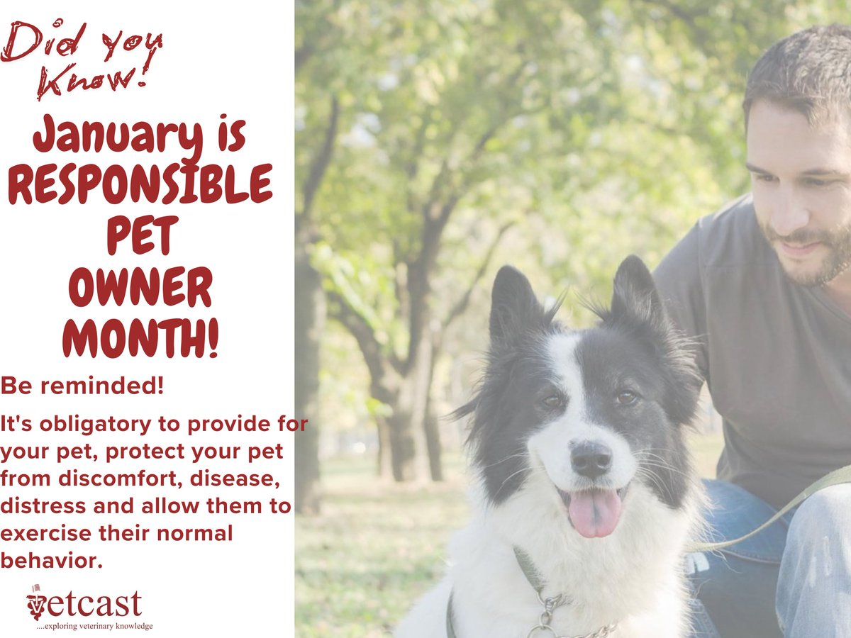 vetcast's tweet photo. January is "Responsible pet owner month"

#pets 
#2026 https://t.co/VsCXwluuLa