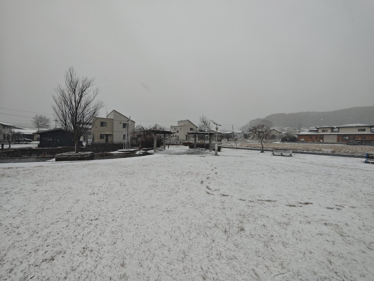 雪 会津若松で統計開始以来最深の積雪に 除雪追いつかず、まつりも中止