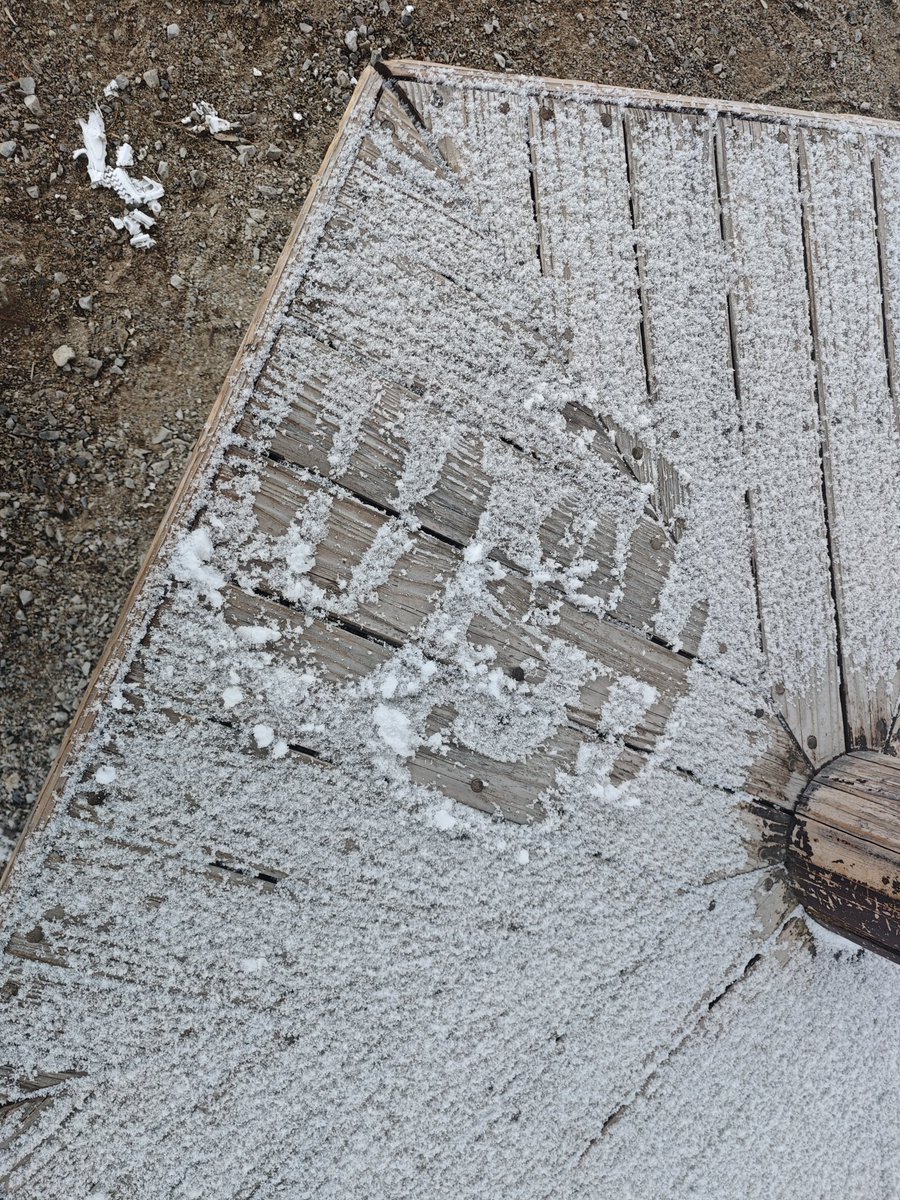 雪だ〜。 雪です！！1