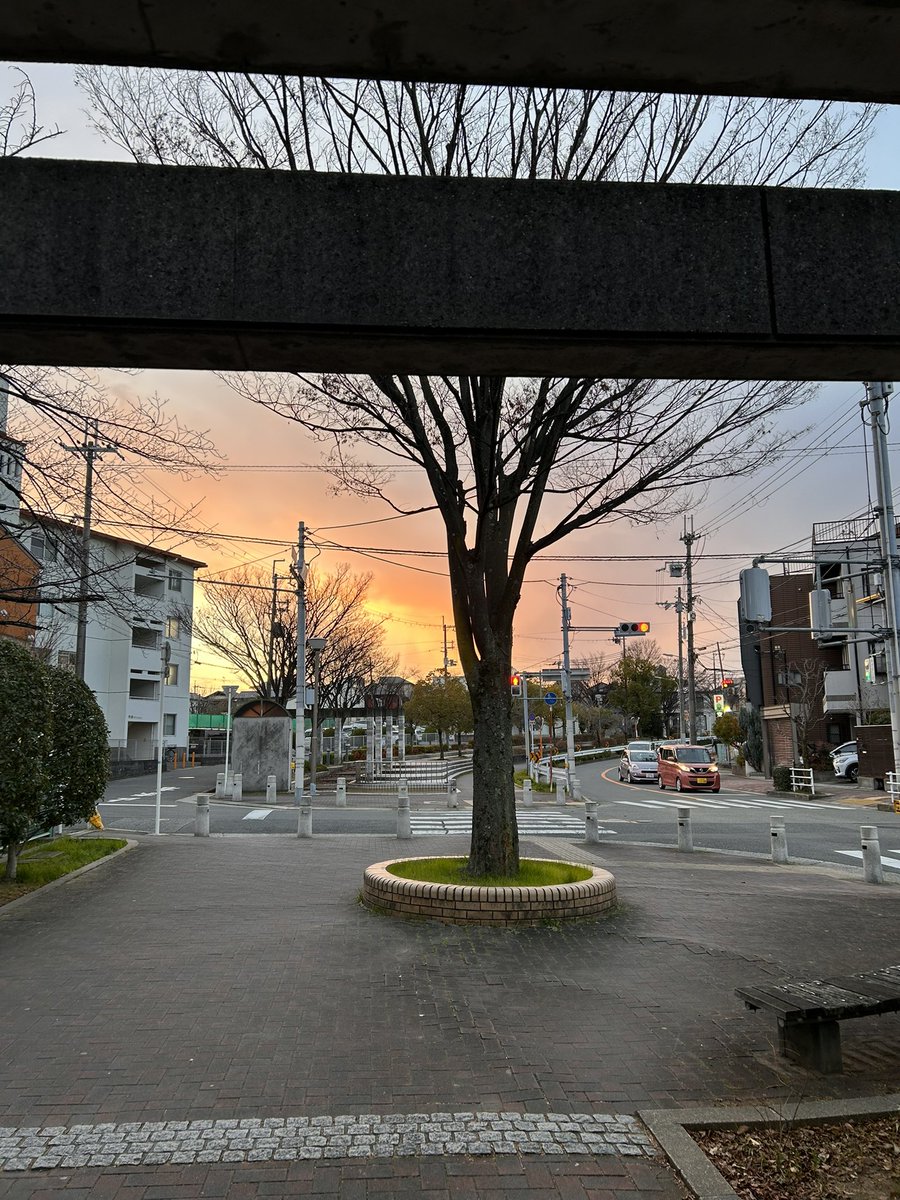 引きこもり解消のためにお散歩🚶
いやー、もう少しで迷子になるんじゃないかっていうぐらい歩いた🌀
