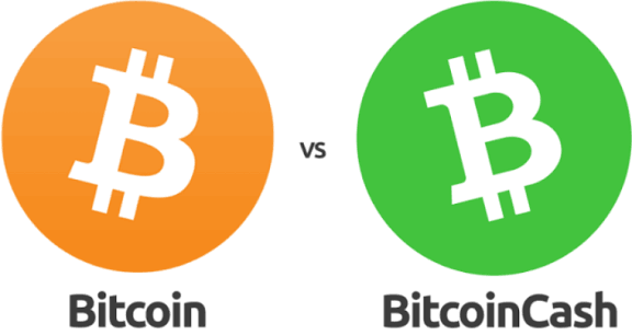 BCH Belief⚖️ tweet media