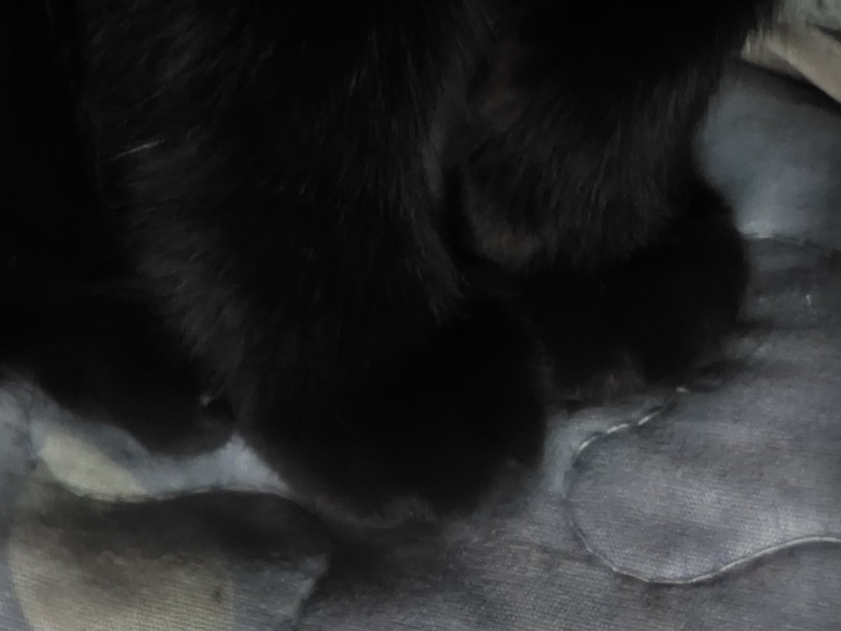 獾郎单推（Jeff） tweet media