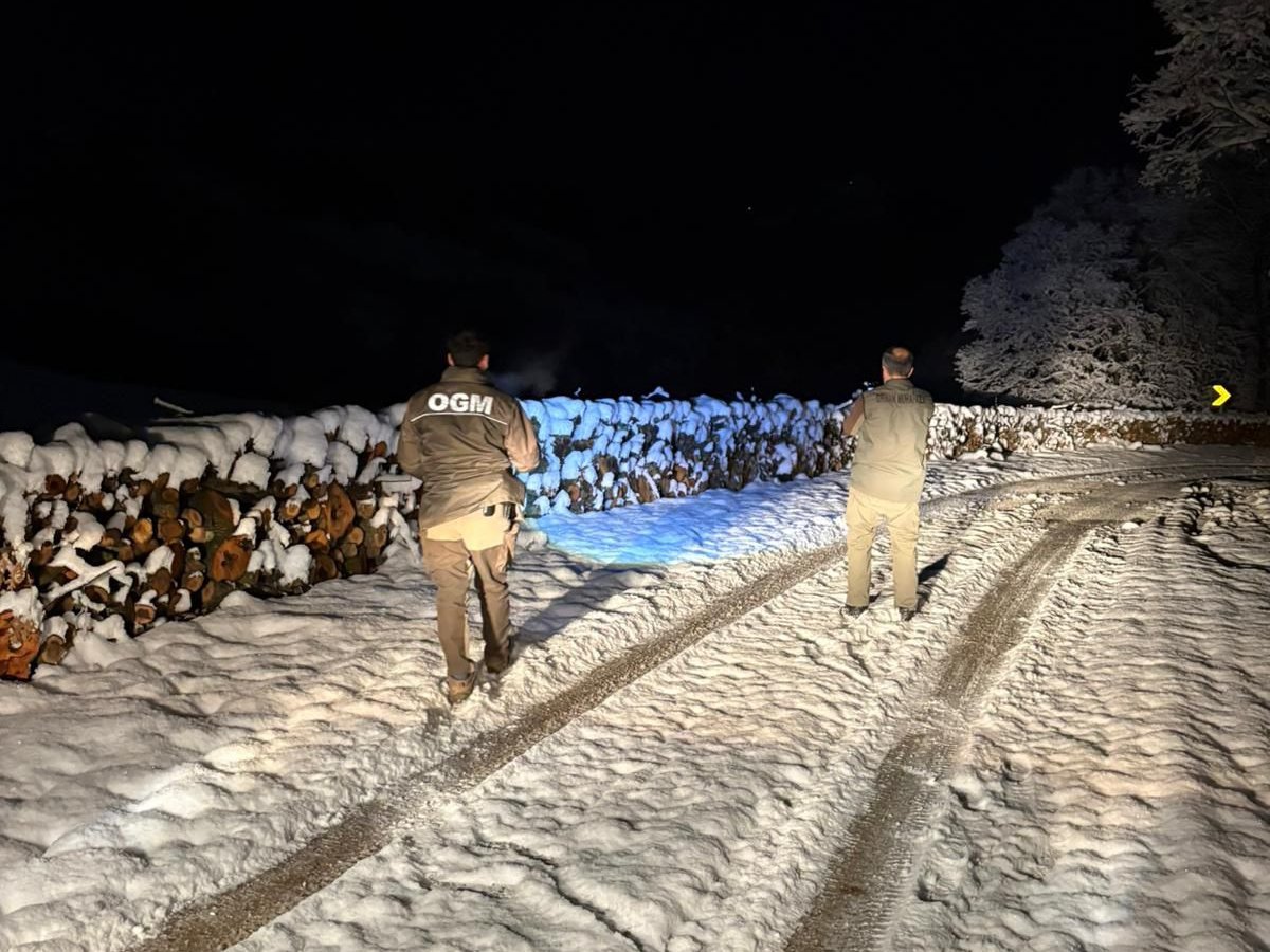 bursaobm's tweet image. 🌲💚❄️ Ormanlarımızı 7/24 gözetliyoruz.

Bölge müdürlüğümüz  genelinde orman koruma ekiplerimiz tarafından yeni yılın ilk saatlerinden itibaren gece boyunca ormanlarımız kontrol edildi.

#OGM
#Koruma
#OrmanVatandır