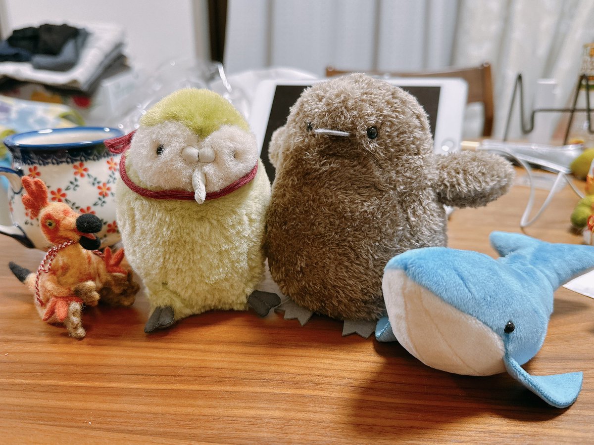 ばんばぱえりあ＠新著『ことりのぬいぐるみ』 (@banmof) / Posts / X